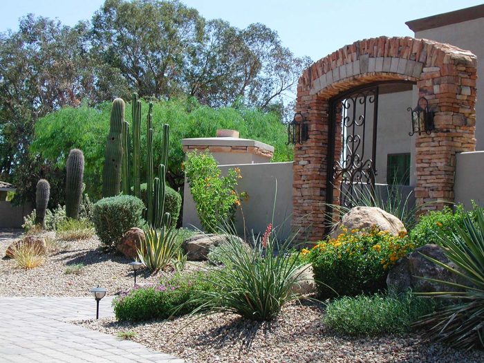 Arizona Landscaping Ideas For Front Yard Archives - Arte Verde