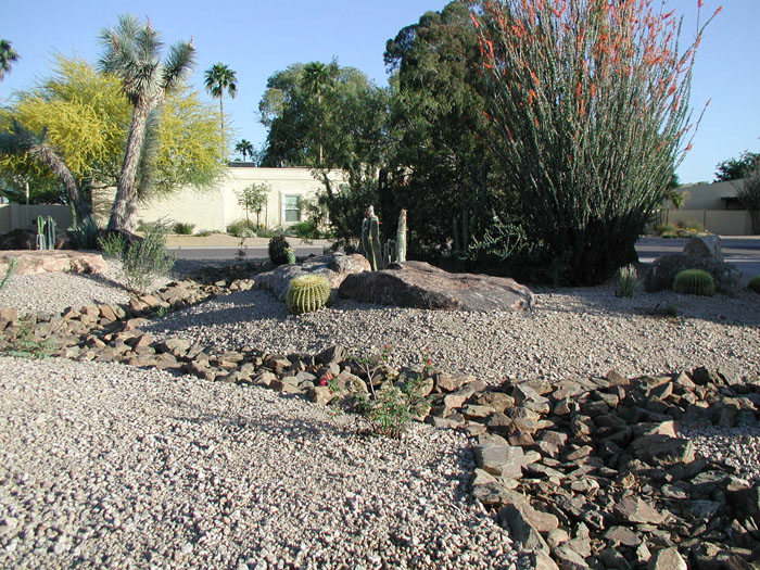 Xeriscape Phoenix | Landscapers - Arte Verde Landscaping